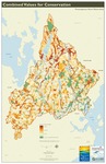 Presumpscot River Watershed Map: Combined Values for Conservation (Map)