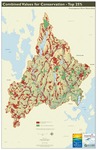 Presumpscot River Watershed Map: Combined Values for Conservation, Top 25% (Map) by Presumpscot River Watershed Coalition, Casco Bay Estuary Partnership, and Center for Community GIS