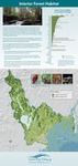 Interior Forest Habitat (2010 State of the Bay Poster) by Casco Bay Estuary Partnership