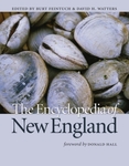 Modernism and New England Art