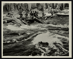 [Group of men collecting logs from a raging stream] by Unknown