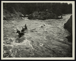 [Men Rowing on River] by Unknown