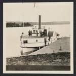 No. 56. Farie of the Lake. by Harry Sanders