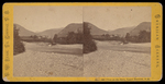 No. 207 View on the Saco, Upper Bartlett, N.H. by Pease, N. W. (Nathan W.), 1836-1918