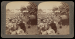 Fighting from Stone Wall Defenses—Washington Volunteers—Taguig, Philippines by Underwood and Underwood
