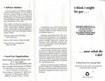 "'I think I might be gay... now what do I do?' A Brochure for Young Men" Brochure (English) by Northern Lambda NORD