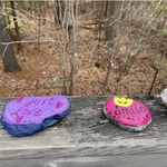 Falmouth: Painted Rocks on Ledgewood Drive by Christine Dulac