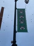 Portland: Free Street Banner by Libby Bischof