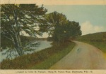 St. Francis River, Sherbrooke Postcard by Leona Dutil